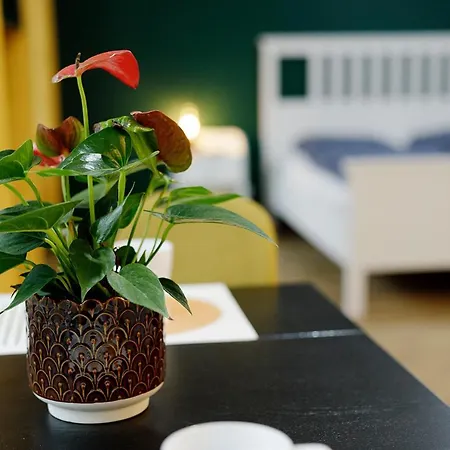 아파트 Na Zielonym Widoku *