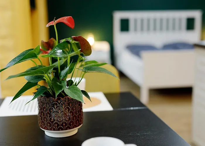 Appartement Na Zielonym Widoku *